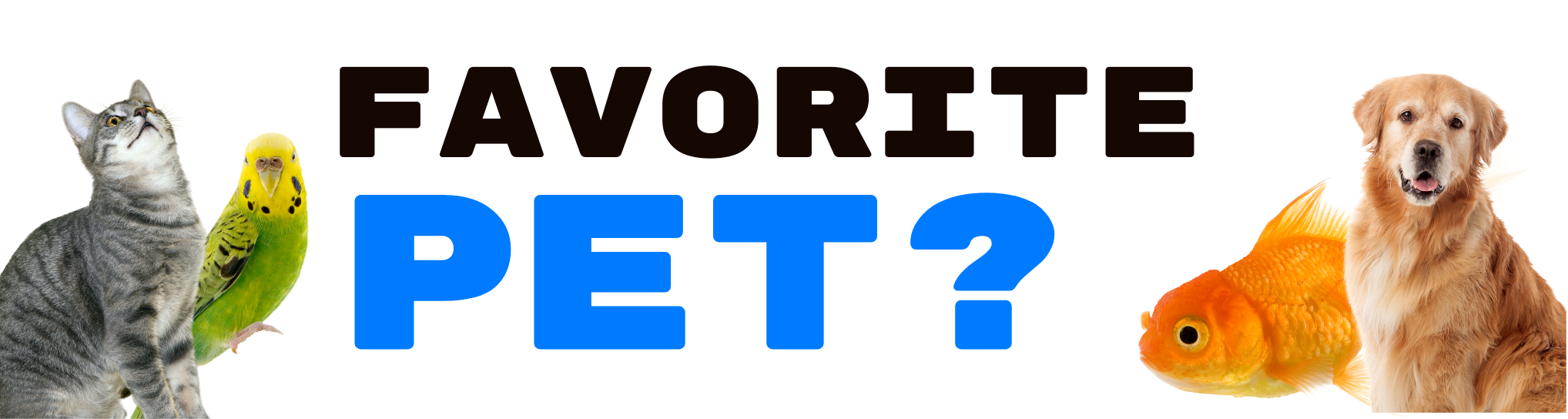 Weekly Poll
